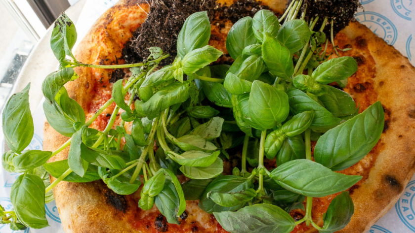 A pizza covered in two entire basil plants.